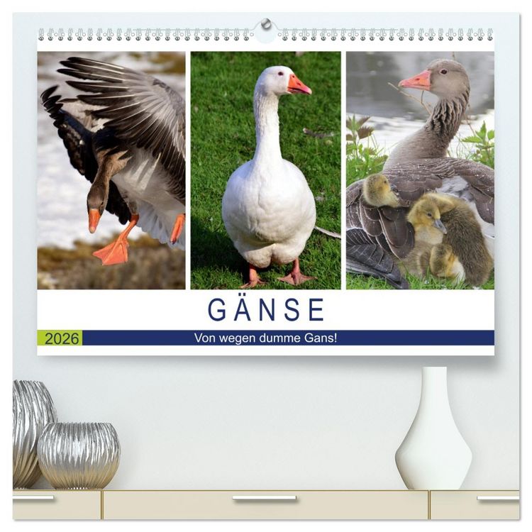 Produktbild: G&auml;nse. Von wegen dumme Gans! (hochwertiger Premium Wandkalender 2026 DIN A2 quer), Kunstdruck in Hochglanz