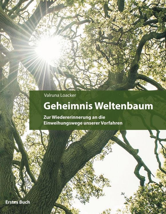 Produktbild: Geheimnis Weltenbaum