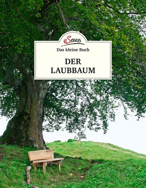 Produktbild: Das kleine Buch: Der Laubbaum