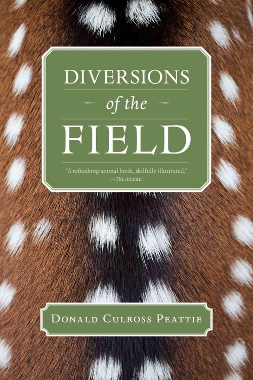 Produktbild: Diversions of the Field