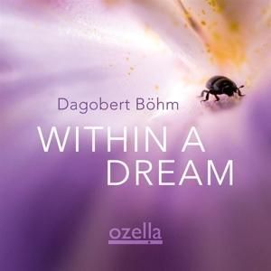 Produktbild: Within A Dream