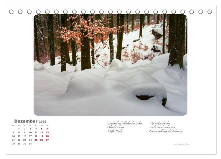 Produktbild: Max Dauthendey - Mit dem Wald durchs Jahr (Tischkalender 2026 DIN A5 quer), CALVENDO Monatskalender
