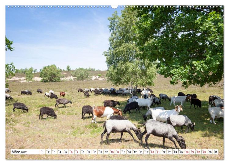 Produktbild: Radland Deutschland - L&uuml;neburger Heide (hochwertiger Premium Wandkalender 2027 DIN A2 quer), Kunstdruck in Hochglanz