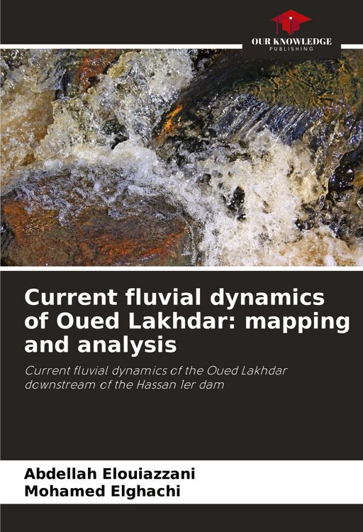 Produktbild: Current fluvial dynamics of Oued Lakhdar: mapping and analysis