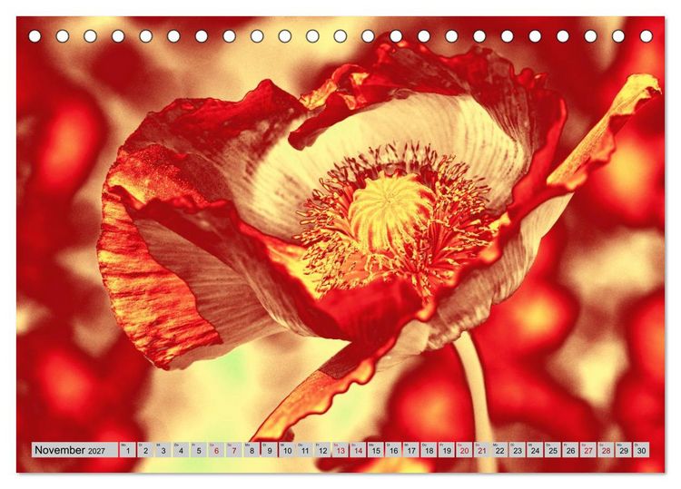 Produktbild: Blumen Pop-Art (Tischkalender 2027 DIN A5 quer), CALVENDO Monatskalender