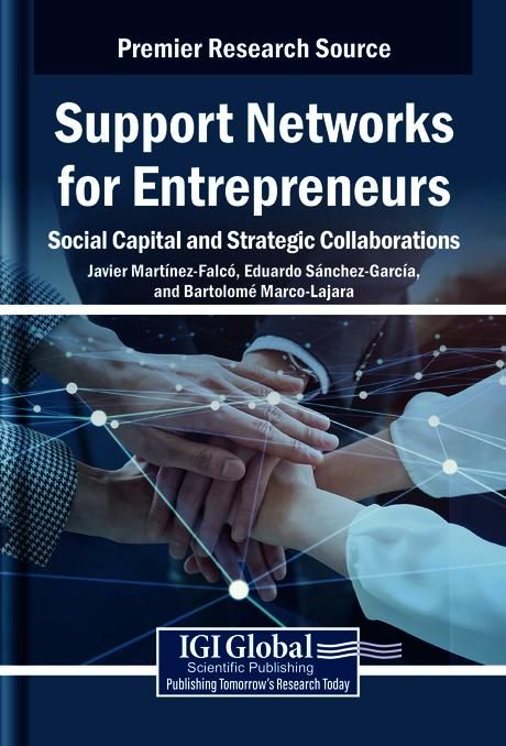 Produktbild: Support Networks for Entrepreneurs: Social Capital and Strategic Collaborations