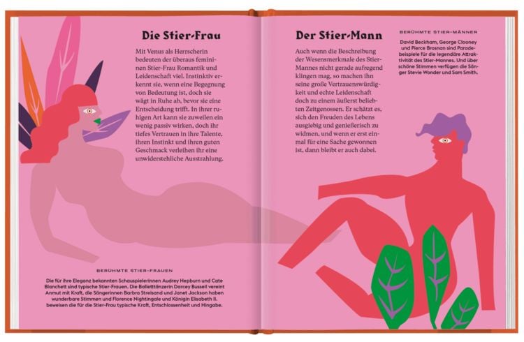 Produktbild: Stier