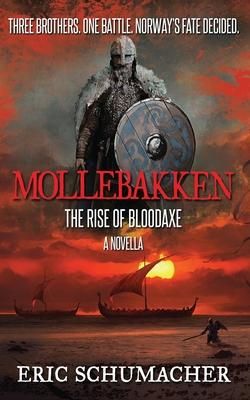 Produktbild: Mollebakken - A Viking Age Novella