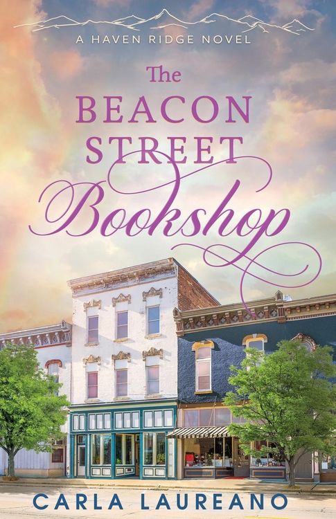 Produktbild: The Beacon Street Bookshop