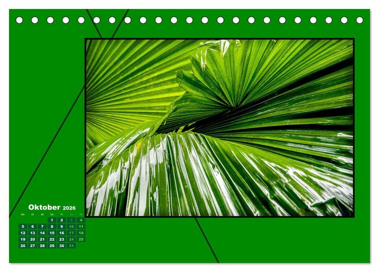 Produktbild: Heilende Farbe Gr&uuml;n (Tischkalender 2026 DIN A5 quer), CALVENDO Monatskalender