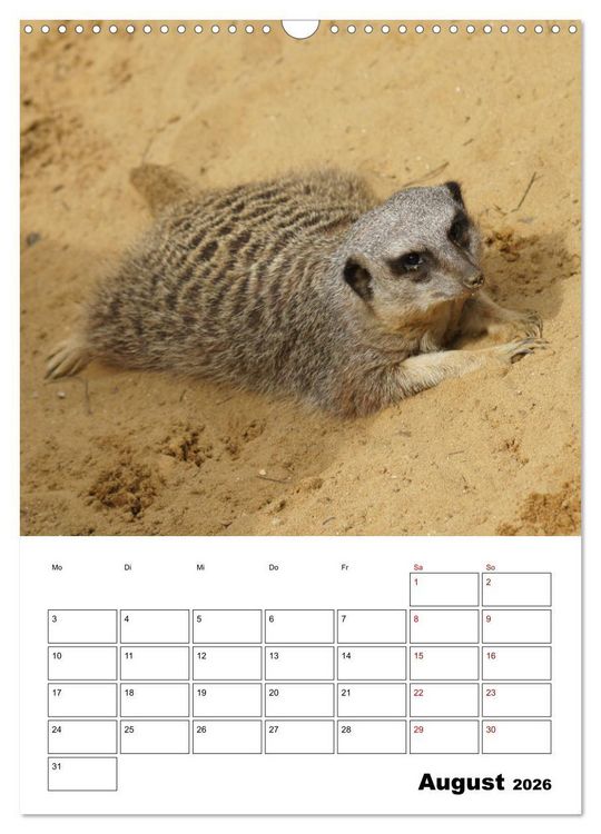 Produktbild: Niedliche Erdm&auml;nnchen (Wandkalender 2026 DIN A3 hoch), CALVENDO Monatskalender