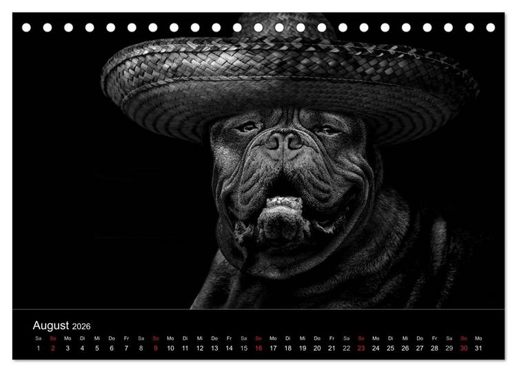 Produktbild: H&uuml;tehunde (Tischkalender 2026 DIN A5 quer), CALVENDO Monatskalender