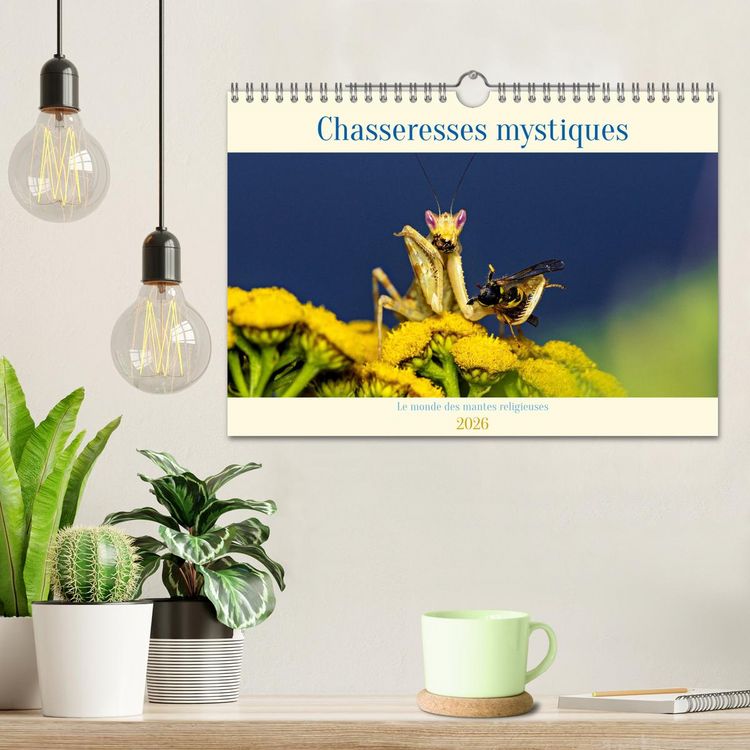 Produktbild: Chasseresses mystiques (Calendrier mural 2026 DIN A4 vertical), CALVENDO calendrier mensuel