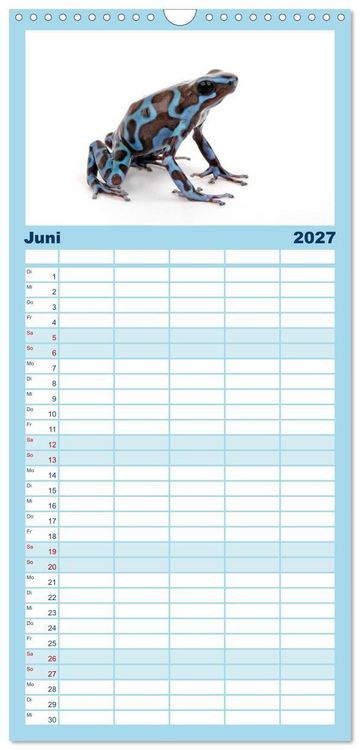 Produktbild: Familienplaner 2027 - Farbenpracht der Fr&ouml;sche mit 5 Spalten (Wandkalender, 21 x 45 cm) CALVENDO