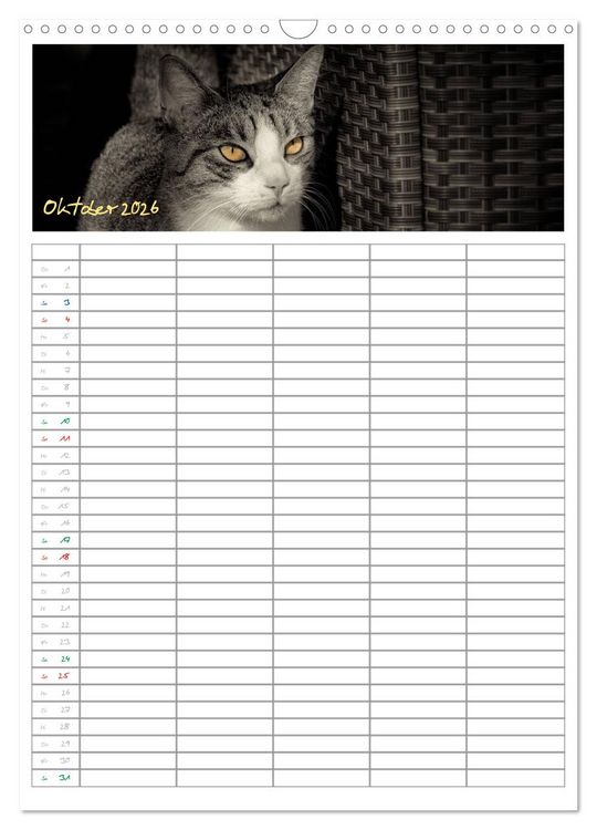 Produktbild: Miezekatzen Planungskalender (Wandkalender 2026 DIN A3 hoch), CALVENDO Monatskalender