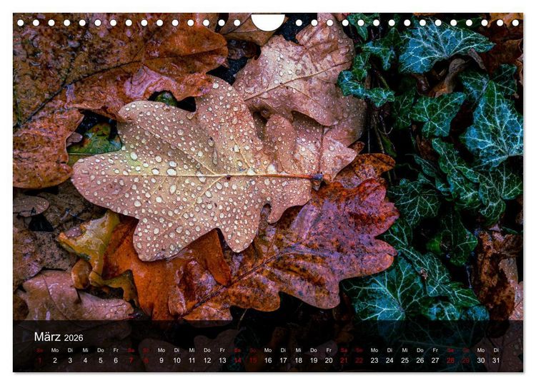 Produktbild: Wundervolle Naturlandschaften (Wandkalender 2026 DIN A4 quer), CALVENDO Monatskalender