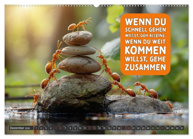Produktbild: Gemeinsam sind wir stark - motivierende Spr&uuml;che &uuml;ber Teams (Wandkalender 2026 DIN A2 quer), CALVENDO Monatskalender