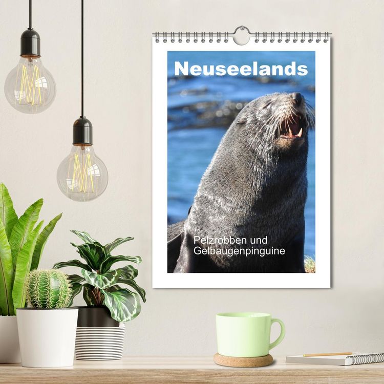 Produktbild: Neuseelands Pelzrobben und Gelbaugenpinguine (Wandkalender 2026 DIN A4 hoch), CALVENDO Monatskalender