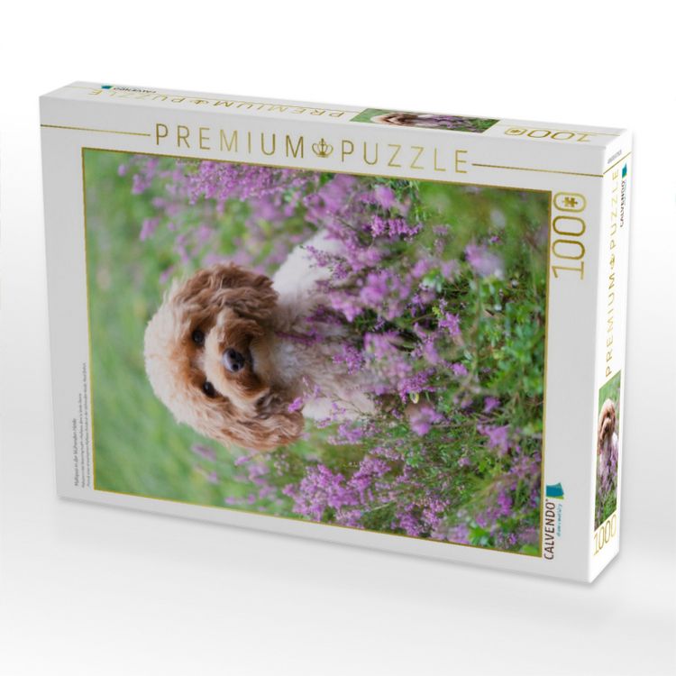 Produktbild: CALVENDO Puzzle Maltipoo in der bl&uuml;henden Heide | 1000 Teile Lege-Gr&ouml;&szlig;e 64x48cm Foto-Puzzle f&uuml;r gl&uuml;ckliche Stunden