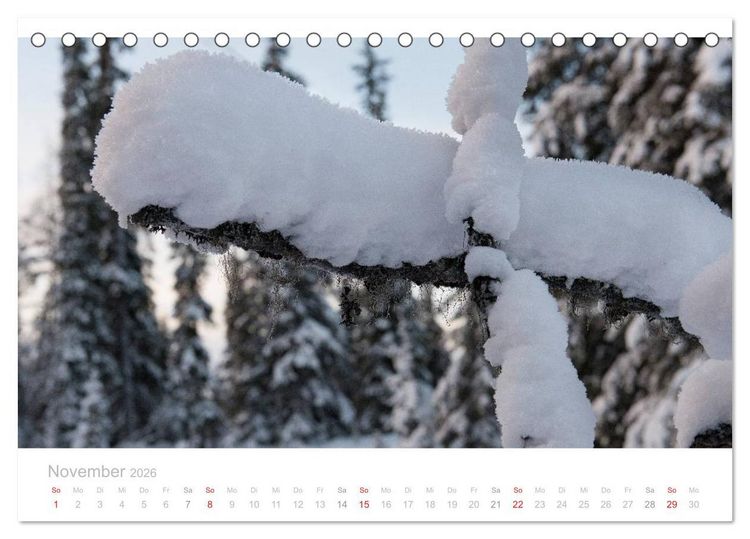 Produktbild: Heimat der Samen (Tischkalender 2026 DIN A5 quer), CALVENDO Monatskalender