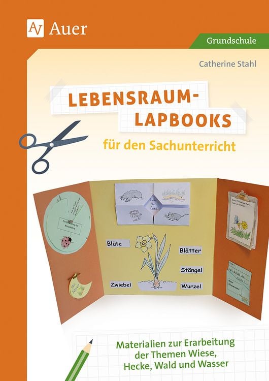 Produktbild: Lebensraum-Lapbooks f&uuml;r den Sachunterricht