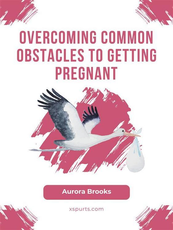Produktbild: Overcoming Common Obstacles to Getting Pregnant