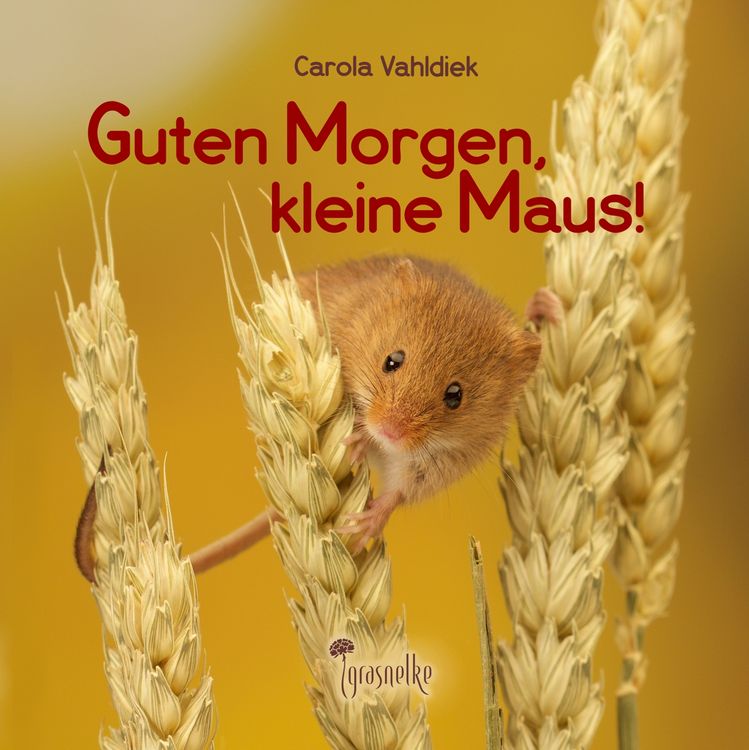 Produktbild: Guten Morgen, kleine Maus!