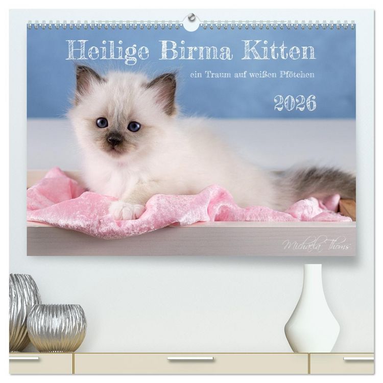 Produktbild: Heilige Birma Kitten - ein Traum auf wei&szlig;en Pf&ouml;tchen (hochwertiger Premium Wandkalender 2026 DIN A2 quer), Kunstdruck in Hochglanz