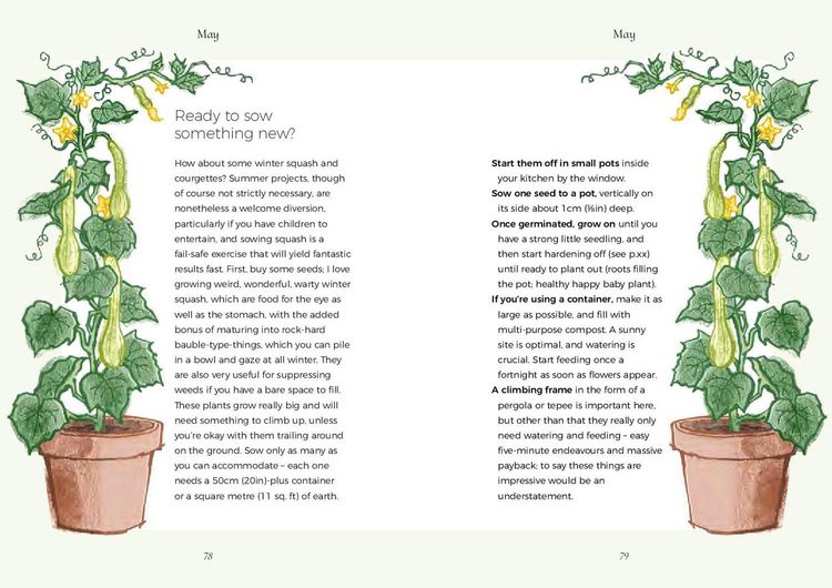 Produktbild: The Five Minute Garden