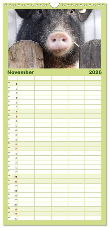 Produktbild: Familienplaner 2026 - Schwein gehabt! mit 5 Spalten (Wandkalender, 21 x 45 cm) CALVENDO