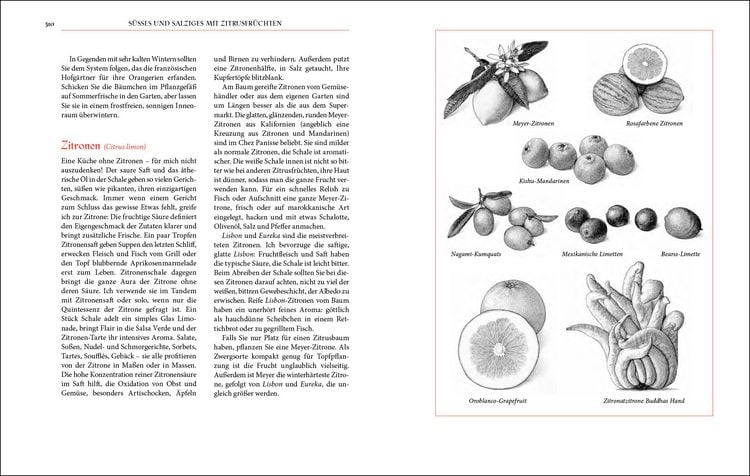 Produktbild: The Art of Simple Food (X)