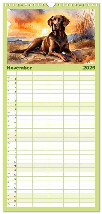 Produktbild: Familienplaner 2026 - Voller Kraft und Energie - Labrador-Retriever mit 5 Spalten (Wandkalender, 21 x 45 cm) CALVENDO