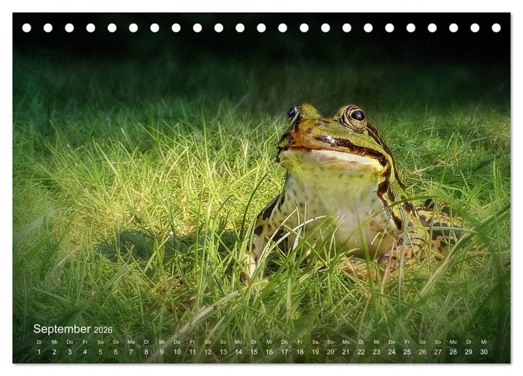 Produktbild: Fr&ouml;sche zum Verlieben (Tischkalender 2026 DIN A5 quer), CALVENDO Monatskalender