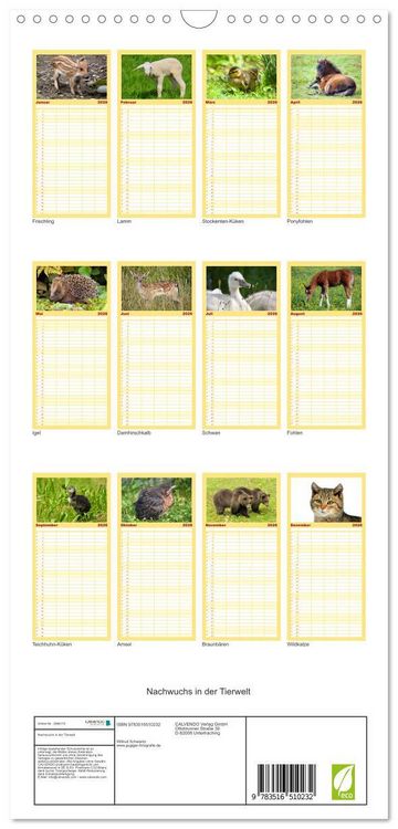 Produktbild: Familienplaner 2026 - Nachwuchs in der Tierwelt mit 5 Spalten (Wandkalender, 21 x 45 cm) CALVENDO