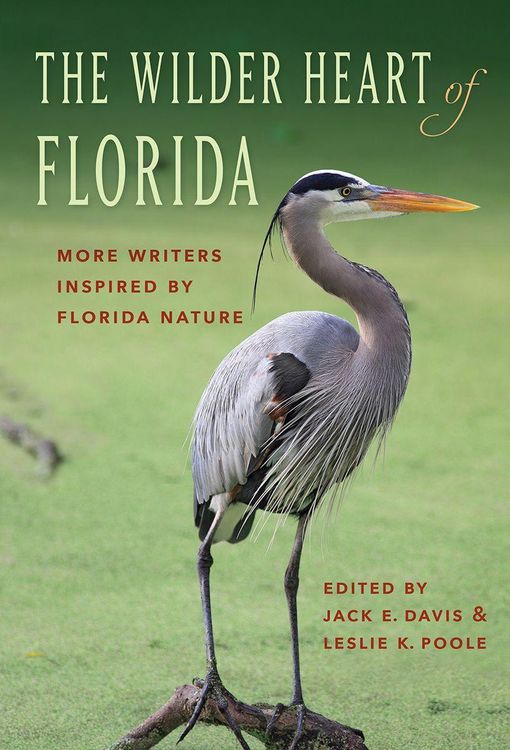Produktbild: The Wilder Heart of Florida