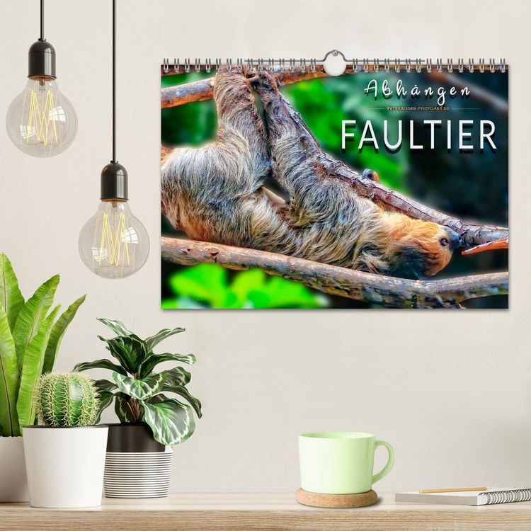 Produktbild: Abh&auml;ngen - Faultier (Wandkalender 2026 DIN A4 quer), CALVENDO Monatskalender