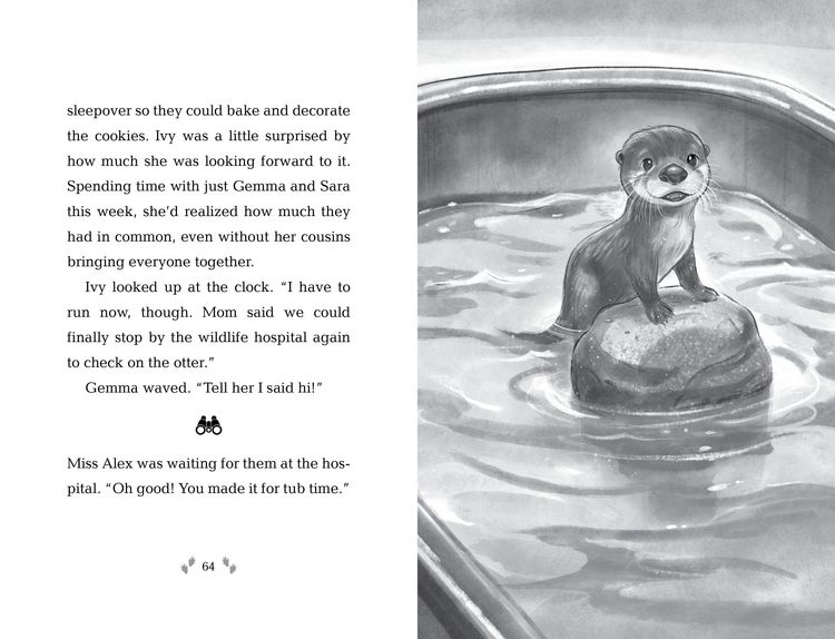 Produktbild: How to Save an Otter