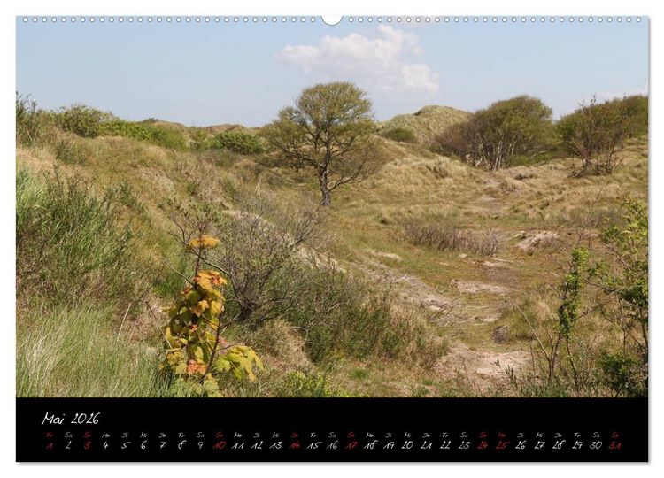 Produktbild: Baltrum (Wandkalender 2026 DIN A2 quer), CALVENDO Monatskalender