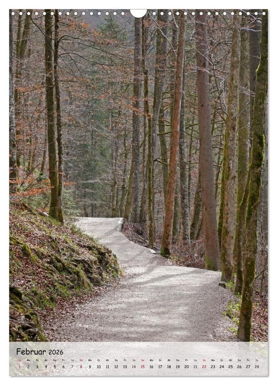 Produktbild: Wege als Traumpfade (Wandkalender 2026 DIN A3 hoch), CALVENDO Monatskalender