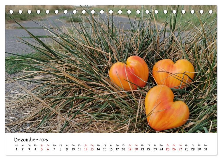 Produktbild: Tomaten Satt (Tischkalender 2026 DIN A5 quer), CALVENDO Monatskalender