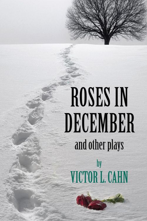 Produktbild: Roses in December