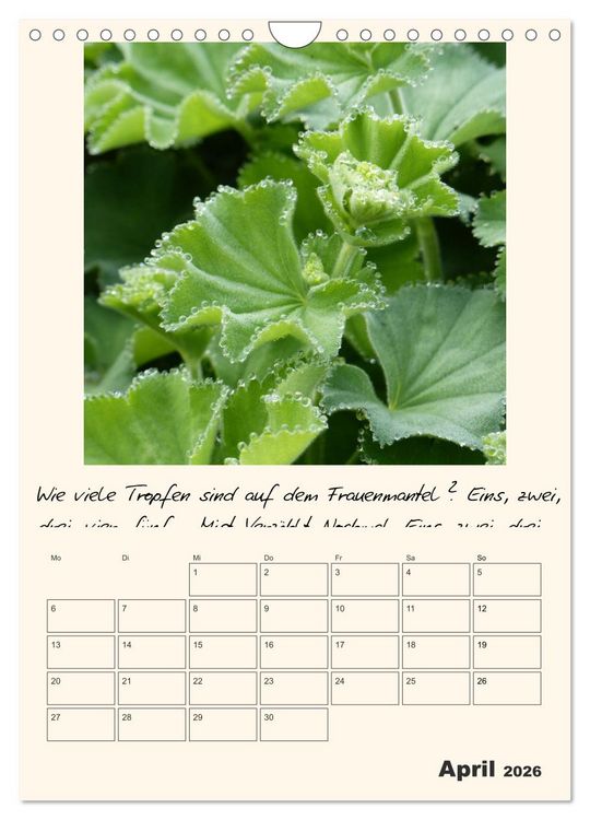 Produktbild: Gartengeschichten (Wandkalender 2026 DIN A4 hoch), CALVENDO Monatskalender
