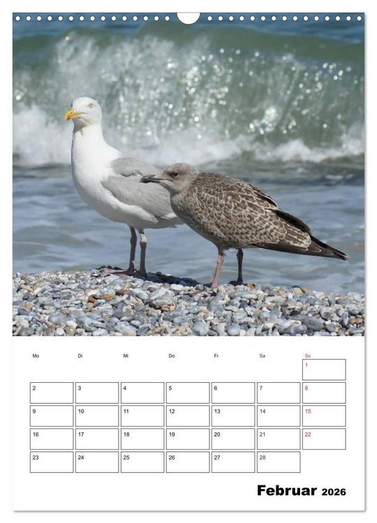 Produktbild: Einzigartige Insel Helgoland (Wandkalender 2026 DIN A3 hoch), CALVENDO Monatskalender