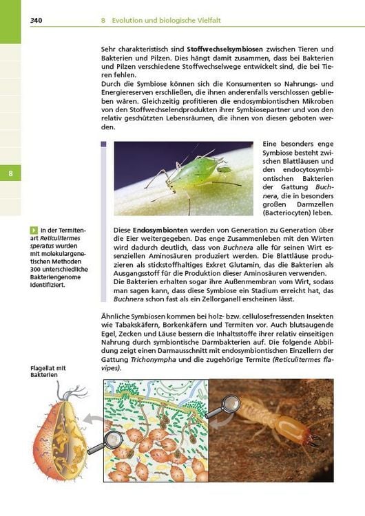 Produktbild: Basiswissen Schule &ndash; Biologie Abi