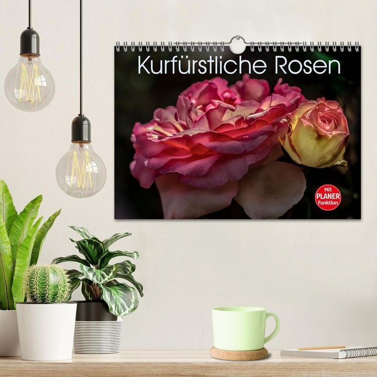 Produktbild: Kurf&uuml;rstliche Rosen Eltville am Rhein (Wandkalender 2026 DIN A4 quer), CALVENDO Monatskalender