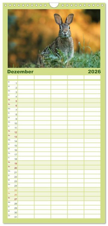 Produktbild: Familienplaner 2026 - Feldhasen und Kaninchen mit 5 Spalten (Wandkalender, 21 x 45 cm) CALVENDO