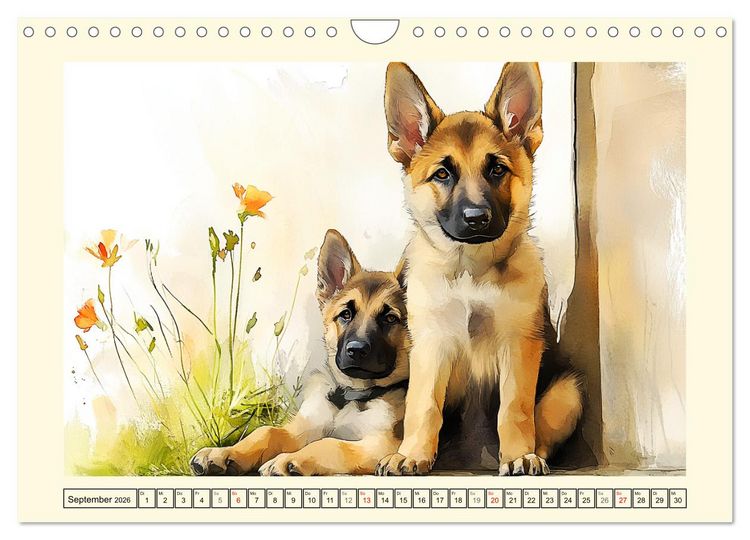Produktbild: Deutsche Sch&auml;ferhunde. Majest&auml;tische W&auml;chter im Aquarell-Stil (Wandkalender 2026 DIN A4 quer), CALVENDO Monatskalender