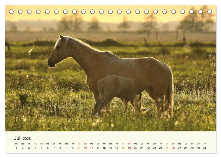 Produktbild: Bremen-Blockland (Tischkalender 2026 DIN A5 quer), CALVENDO Monatskalender