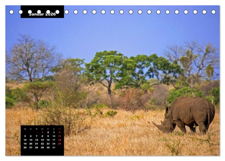 Produktbild: Blickpunkte des S&uuml;dlichen Afrika (Tischkalender 2026 DIN A5 quer), CALVENDO Monatskalender