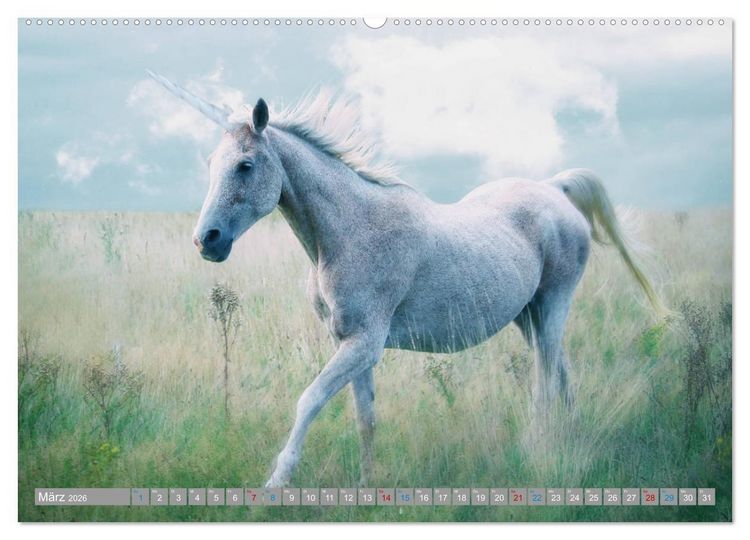 Produktbild: Fabeltier Einhorn (hochwertiger Premium Wandkalender 2026 DIN A2 quer), Kunstdruck in Hochglanz
